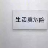 燦