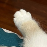 给我