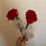 温和的风声