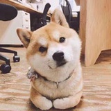 Su叽叽叽