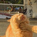 最后一个星期二