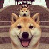  小叶子