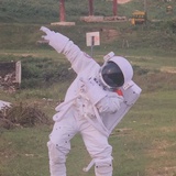 樂禾
