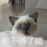 西西
