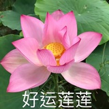 水水水