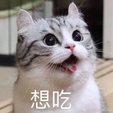 随缘吧2276