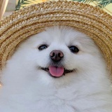 豆友227681058