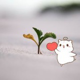 卡其木啦