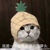 拿瓦格斯