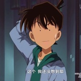 捉到一只喵喵
