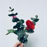 傻白甜也挺好