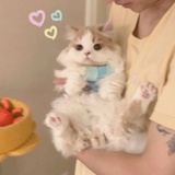 DimRuby