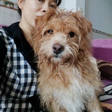 豆友227772567