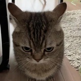 7k7kddd