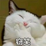 蓝色的🐈