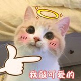 Sally出发喽