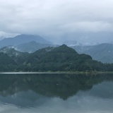 水牛