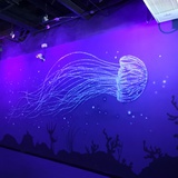 蟹黄小贝