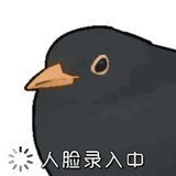你是啥鸫西