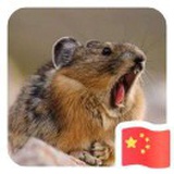 雅人&
