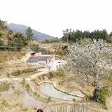 小小