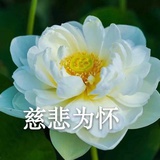 米兰达规则