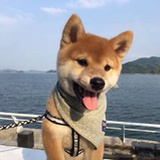 莫尼的花🍃