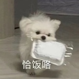 热心市民小鹿