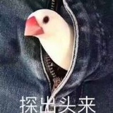 说啥呢