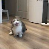千
