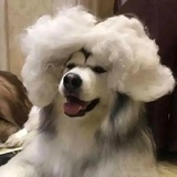 给春风予沉迷