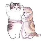 爱cat波板糖