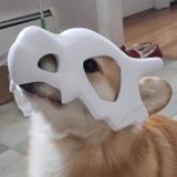 非著名青蛙