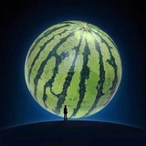 豆友228288069