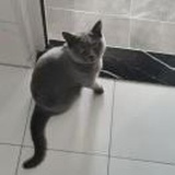 Ssh