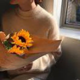 鱼尾菇凉