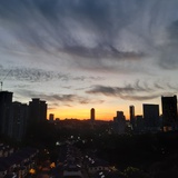 是谁呢