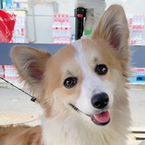 豆友228385426