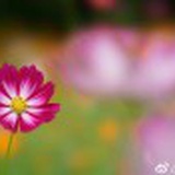 饰．潮