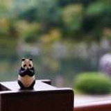 企鹅信
