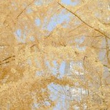 换个名字继续潜
