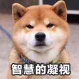 无聊的瓜主
