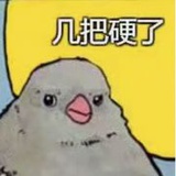 今朝有水今朝划