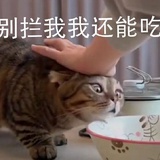 香菜炒胡萝卜