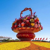 村上桐树