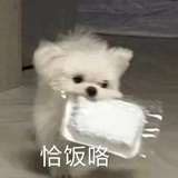 爱吃炒饭