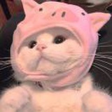 土孩儿