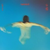 失忆蝴蝶🦋