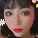 龙猫