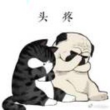 给猫夏的你